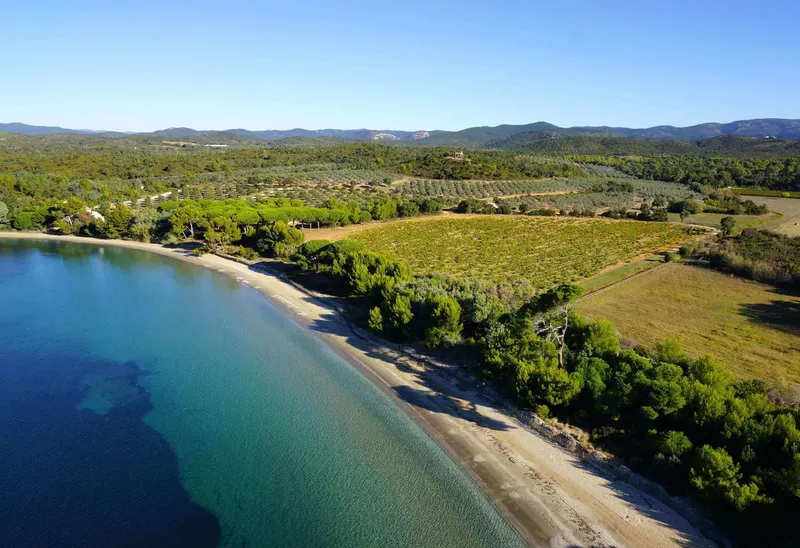 Aerial view of a Provence coastline where the calm sea meets a sandy beach, with vines and trees inland