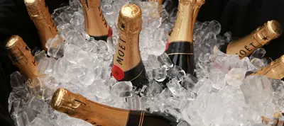Bottles of Champagne chilling in a bin of ice cubes