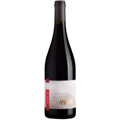 2021 - Famille Pierre Gaillard - Domaine Cottebrune - Transhumance - Faugères