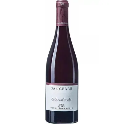 2020 - Henri Bourgeois - Les Bonnes Bouches - Sancerre - Rouge