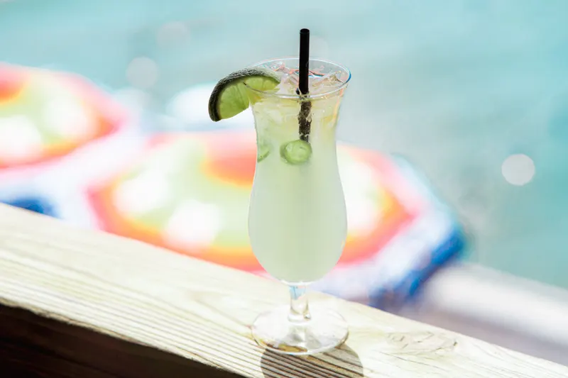 Silver Agave Breeze