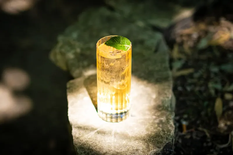 Dalmore Highland Highball