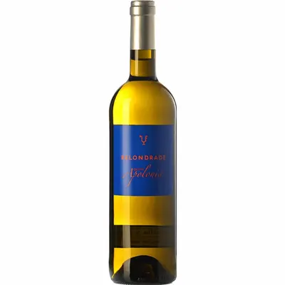 2024 - Bodega Belondrade - Quinta Apolonia - Verdejo