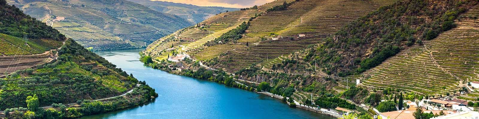 A scenic view of a river winding through lush, terraced hillsides covered with vineyards under a partly cloudy sky. Small buildings dot the landscape, enhancing the serene, pastoral atmosphere.