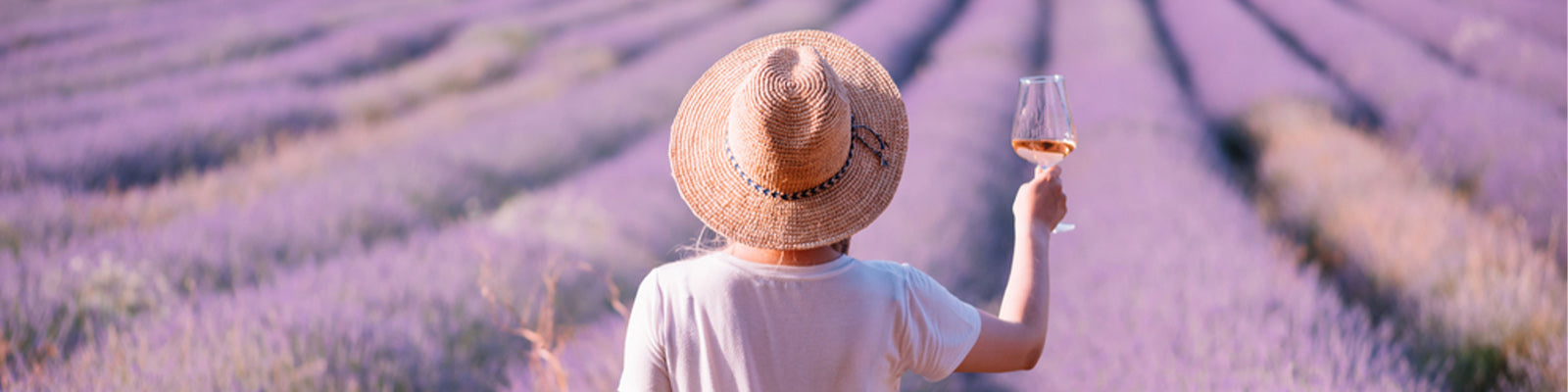 A person in a white shirt and straw hat stands in a lavender field, holding a glass of wine. Rows of purple flowers stretch into the distance under a clear sky.