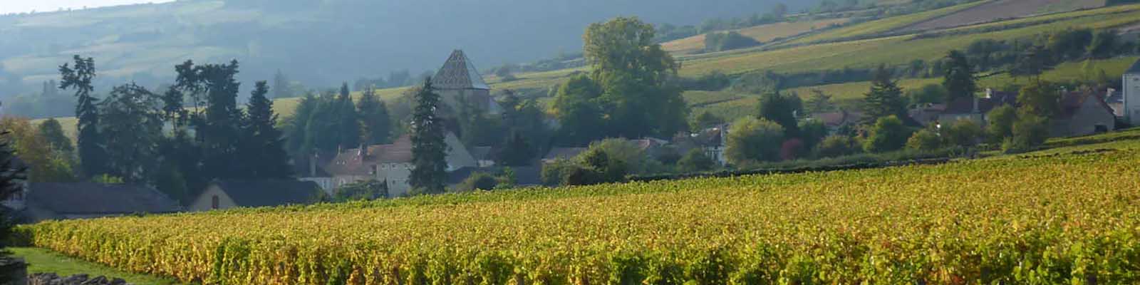 Santenay