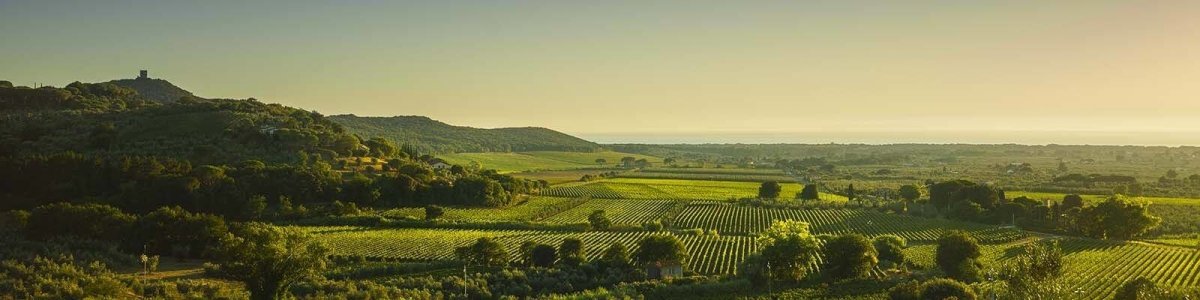 Bolgheri - Kelders aan de kust