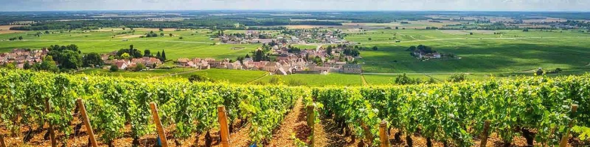 Bourgogne - Onshore Kelders